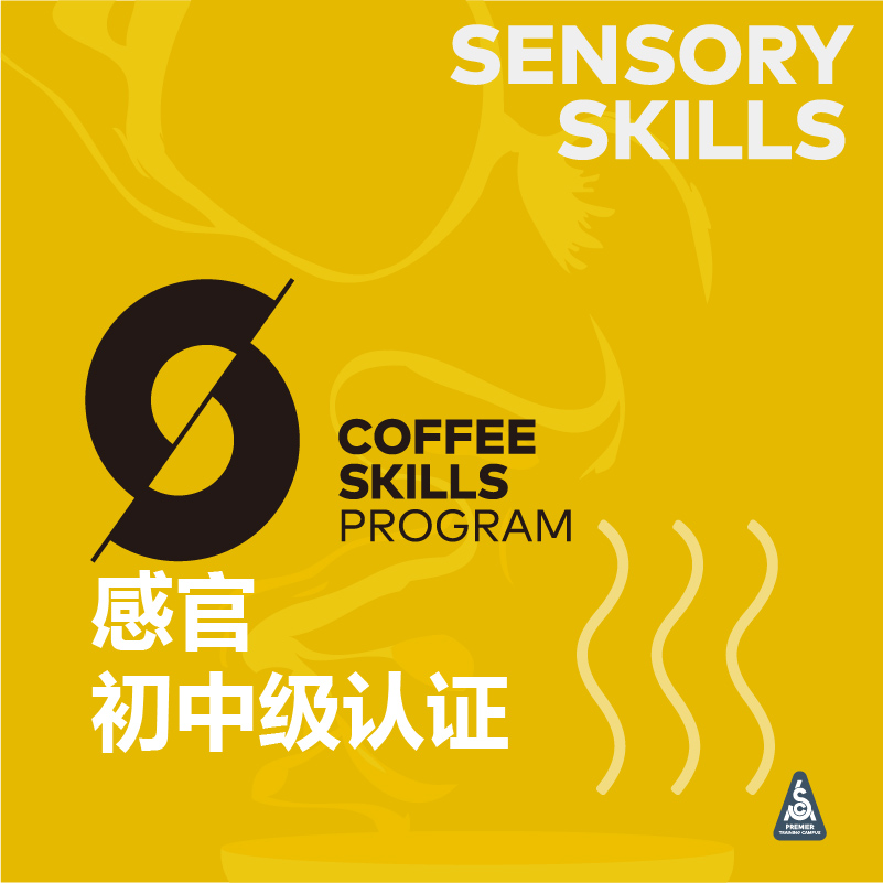 SCA感官初中级课程咖啡培训课程实拍